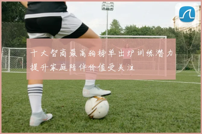 十大智商最高狗榜单出炉训练潜力提升家庭陪伴价值受关注