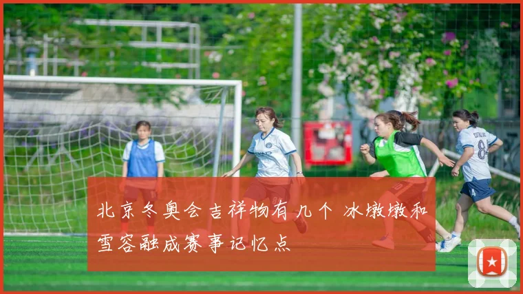 北京冬奥会吉祥物有几个 冰墩墩和雪容融成赛事记忆点