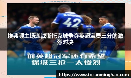 埃弗顿主场迎战斯托克城争夺英超宝贵三分的激烈对决